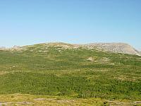 DSC04882_25cm_144dpi.jpg