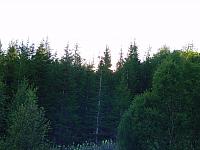 DSC04889_25cm_144dpi.jpg