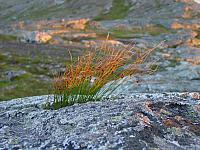 DSC04902_25cm_144dpi.jpg