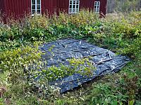 Så litt kvist for å holde plasten på plass