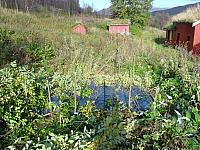 Siktepinner for setting