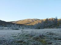 Rimfrost på Elvnesmyra