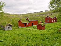 Birkeli i vårdrakt