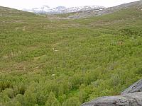 Gamslettlia, Ågdalen og Trappbergskogen