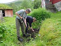 Sommerferie med gjester