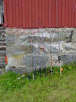 7 fiskestenger klar for Almenningsvatnet
