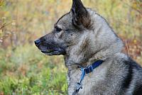 DSC_0230_25cm_150dpi.jpg