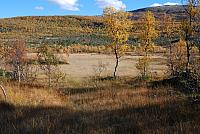 DSC_0293_25cm_150dpi.jpg