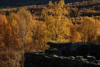 DSC_0522_25cm_150dpi.jpg