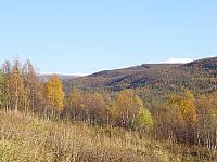 Utsikt fra Birkeli mot Steinkjerringa