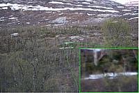 Elgoksen jeg fant først et år etter turen