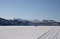 IMG_0178_25cm.jpg
