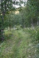 Videre sør for smia