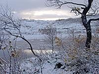 DSC08251_25cm_144dpi.jpg