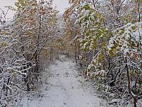 DSC08252_25cm_144dpi.jpg
