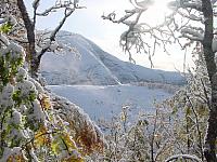 DSC08258_25cm_144dpi.jpg