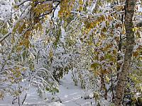 DSC08259_25cm_144dpi.jpg
