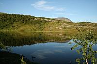 IMG_5800_25cm.jpg