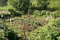 IMG_5813_25cm.jpg