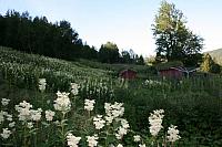 IMG_5820_25cm.jpg