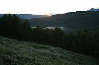 IMG_5849_25cm.jpg