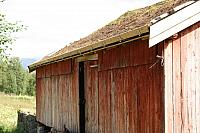 IMG_5888_25cm.jpg