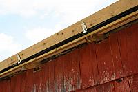 IMG_5889_25cm.jpg