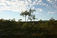 IMG_5895_25cm.jpg