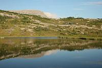 IMG_5901_25cm.jpg