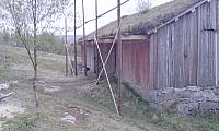 IMAG0026_25cm.jpg