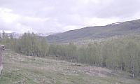 IMAG0034_25cm.jpg