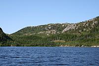 Mølnvika