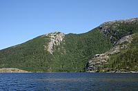 Ørnlia