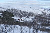 Birkeli fra Trappbergskogen