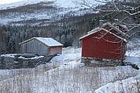 IMG_0611[1]_25cm.JPG