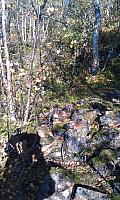IMAG0166_25cm.jpg