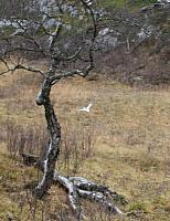 IMG_6973_crop-25cm.jpg