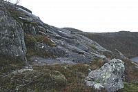 Flere veivisere