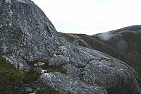 IMG_6889_25cm100dpi.jpg