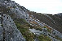 IMG_6895_25cm100dpi.jpg