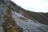 IMG_6896_25cm100dpi.jpg