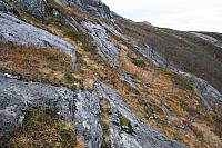 IMG_6900_25cm100dpi.jpg