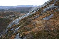 IMG_6904_25cm100dpi.jpg