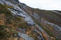 IMG_6905_25cm100dpi.jpg