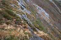 IMG_6906_25cm100dpi.jpg