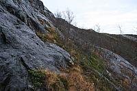IMG_6907_25cm100dpi.jpg