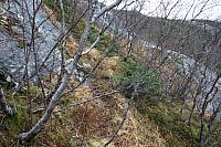 IMG_6910_25cm100dpi.jpg