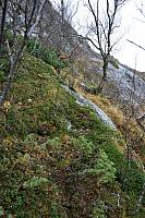 IMG_6911_25cm100dpi.jpg