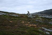 IMG_6932_25cm100dpi.jpg