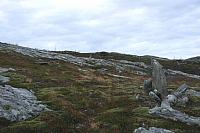 IMG_6933_25cm100dpi.jpg